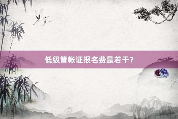低级管帐证报名费是若干？
