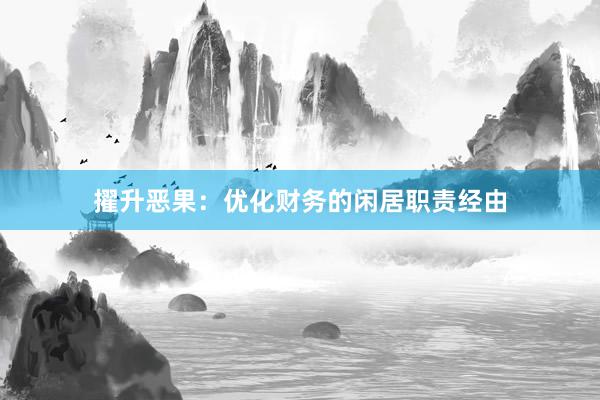 擢升恶果：优化财务的闲居职责经由